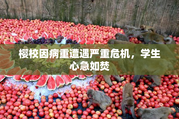 樱校因病重遭遇严重危机，学生心急如焚