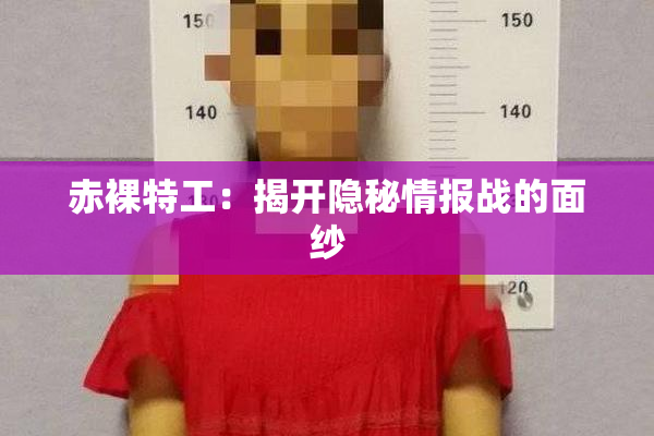 赤裸特工：揭开隐秘情报战的面纱