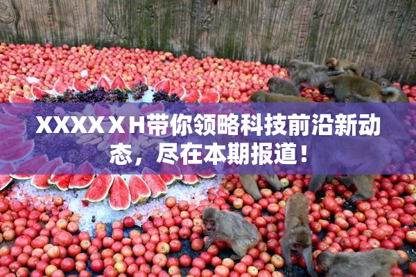 XXXXⅩH带你领略科技前沿新动态，尽在本期报道！