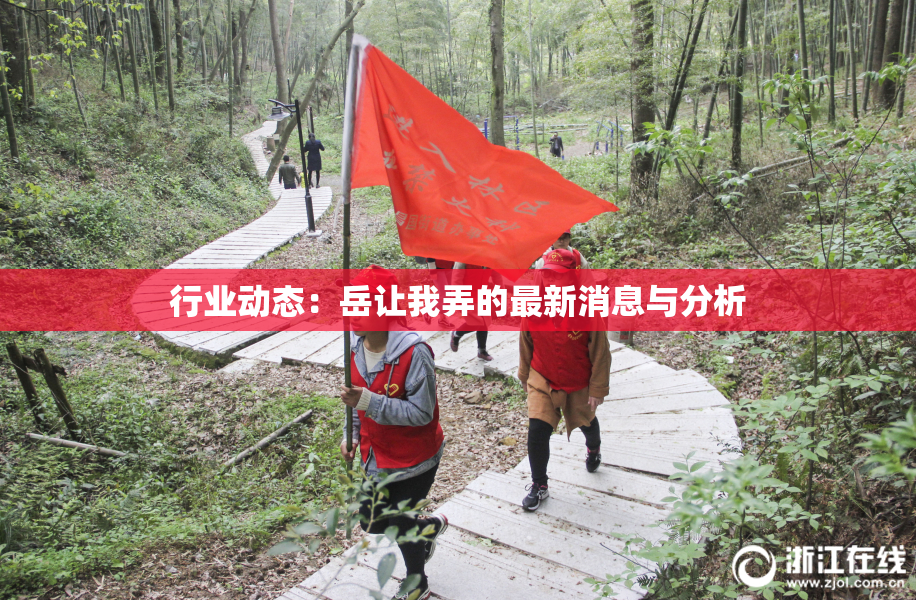 行业动态：岳让我弄的最新消息与分析