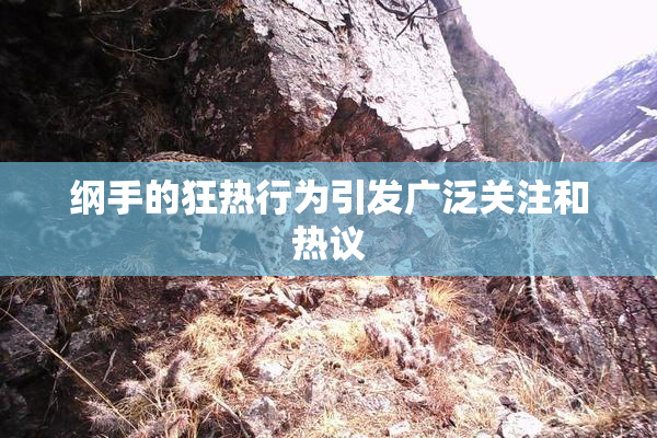 纲手的狂热行为引发广泛关注和热议