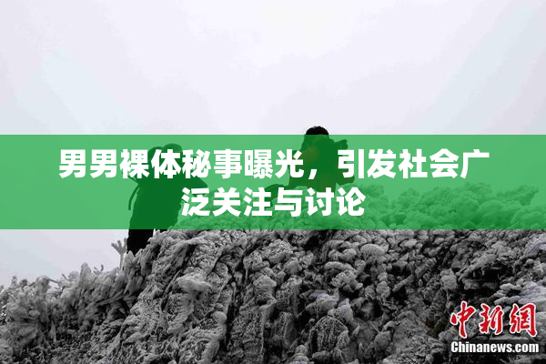 男男裸体秘事曝光，引发社会广泛关注与讨论