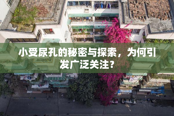 小受尿孔的秘密与探索，为何引发广泛关注？