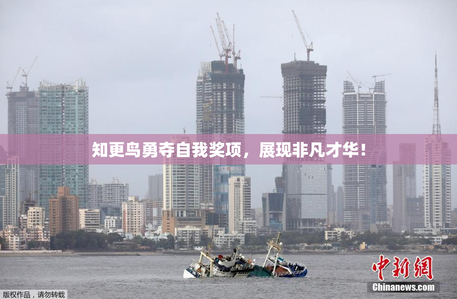 知更鸟勇夺自我奖项，展现非凡才华！
