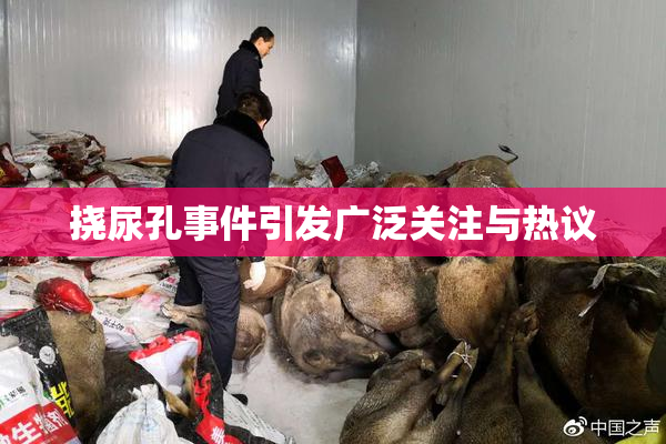 挠尿孔事件引发广泛关注与热议