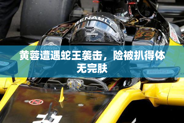 黄蓉遭遇蛇王袭击，险被扒得体无完肤