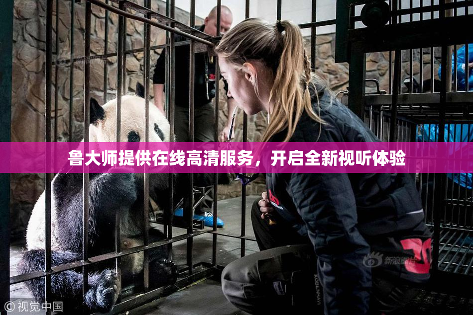 鲁大师提供在线高清服务，开启全新视听体验