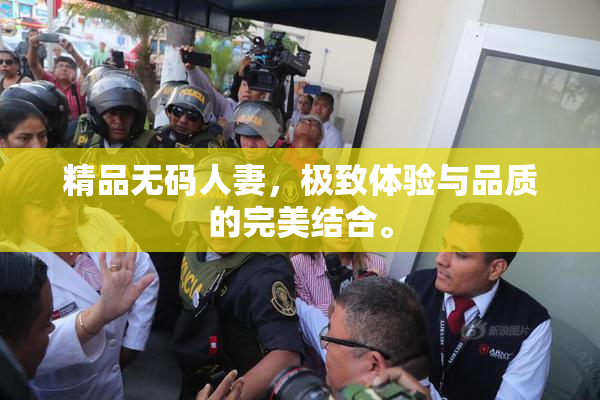 精品无码人妻，极致体验与品质的完美结合。
