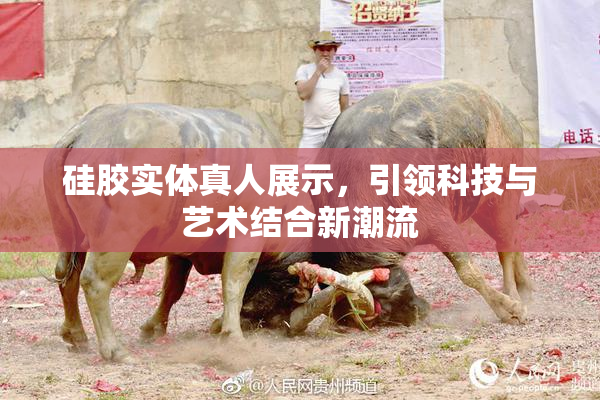 硅胶实体真人展示，引领科技与艺术结合新潮流