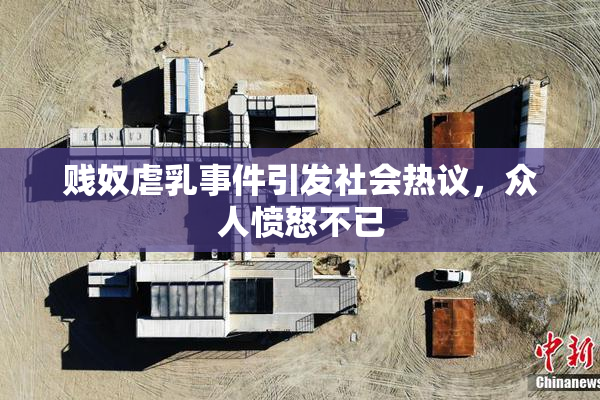 贱奴虐乳事件引发社会热议，众人愤怒不已
