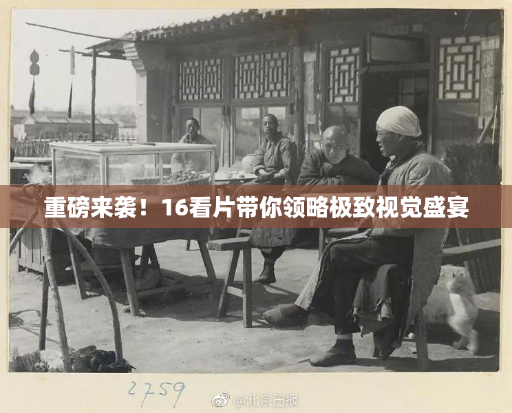 重磅来袭！16看片带你领略极致视觉盛宴