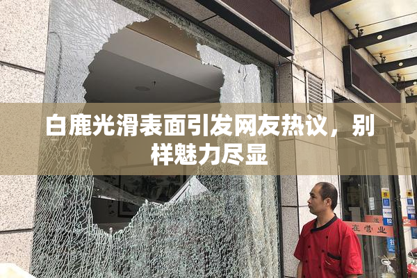 白鹿光滑表面引发网友热议，别样魅力尽显