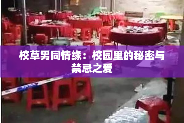 校草男同情缘：校园里的秘密与禁忌之爱