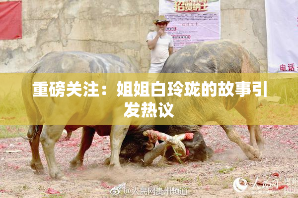 重磅关注：姐姐白玲珑的故事引发热议