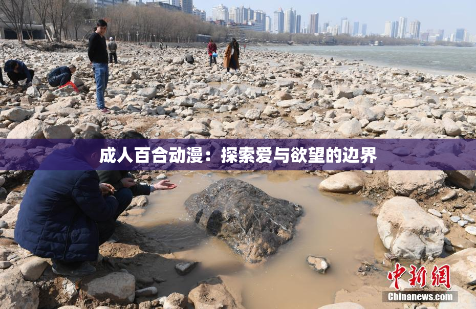 成人百合动漫：探索爱与欲望的边界