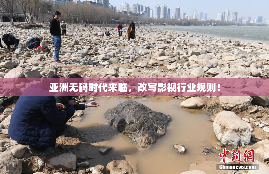 亚洲无码时代来临，改写影视行业规则！