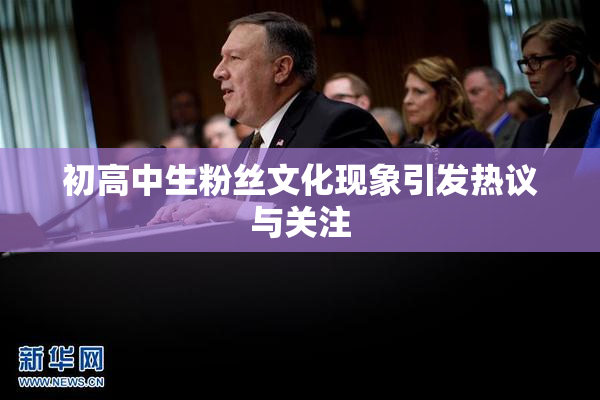 初高中生粉丝文化现象引发热议与关注