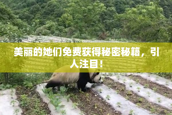 美丽的她们免费获得秘密秘籍，引人注目！