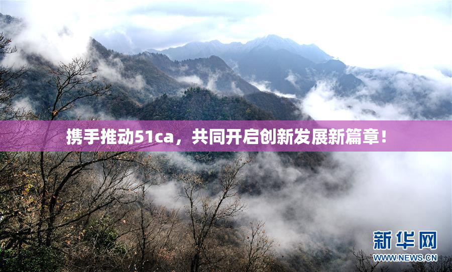 携手推动51ca，共同开启创新发展新篇章！