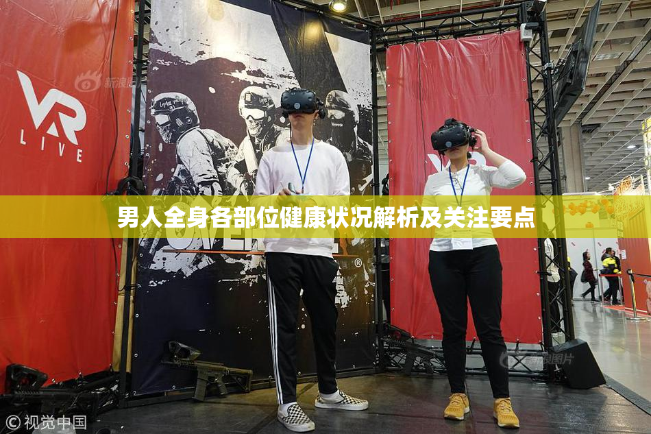 男人全身各部位健康状况解析及关注要点