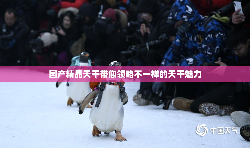 国产精品天干带您领略不一样的天干魅力