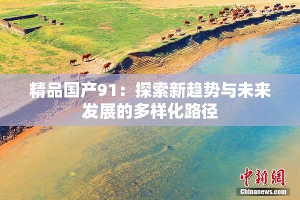 精品国产91：探索新趋势与未来发展的多样化路径