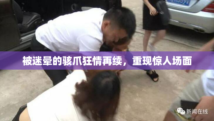 被迷晕的骇爪狂情再续，重现惊人场面