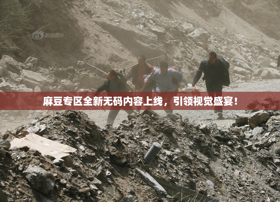 麻豆专区全新无码内容上线，引领视觉盛宴！