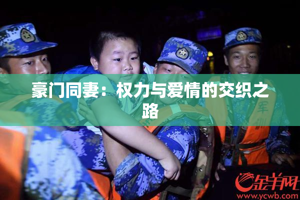 豪门同妻：权力与爱情的交织之路