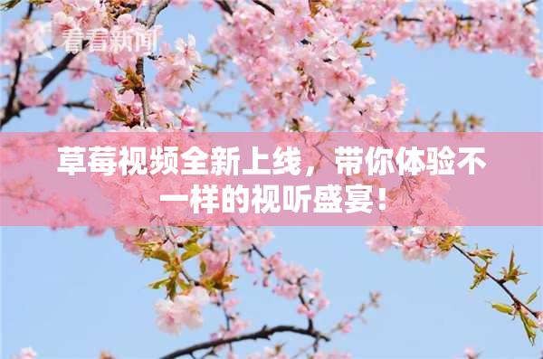 草莓视频全新上线，带你体验不一样的视听盛宴！