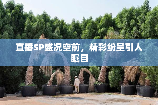 直播SP盛况空前，精彩纷呈引人瞩目