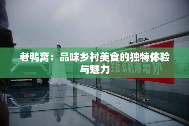 老鸭窝：品味乡村美食的独特体验与魅力