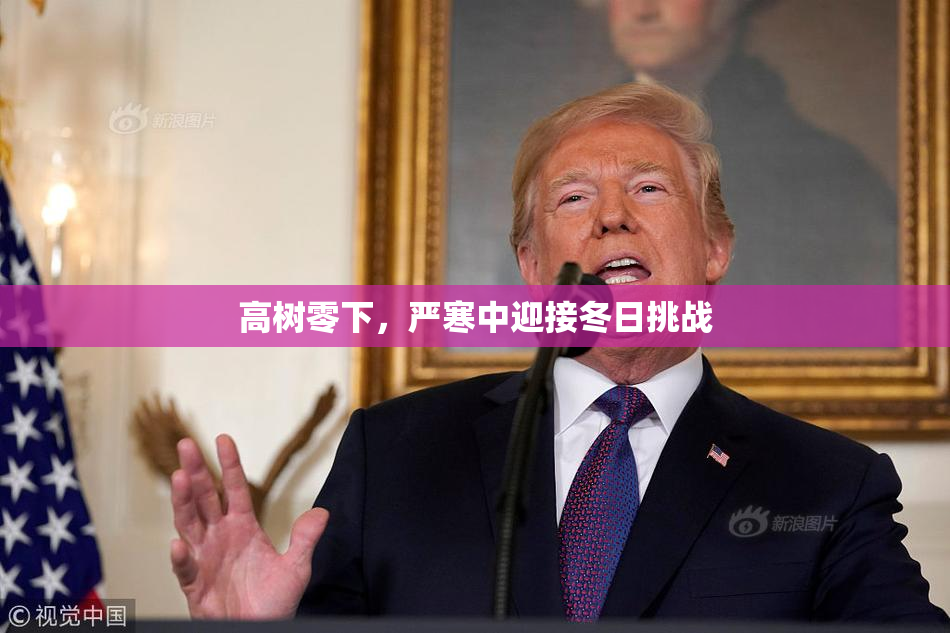 高树零下，严寒中迎接冬日挑战