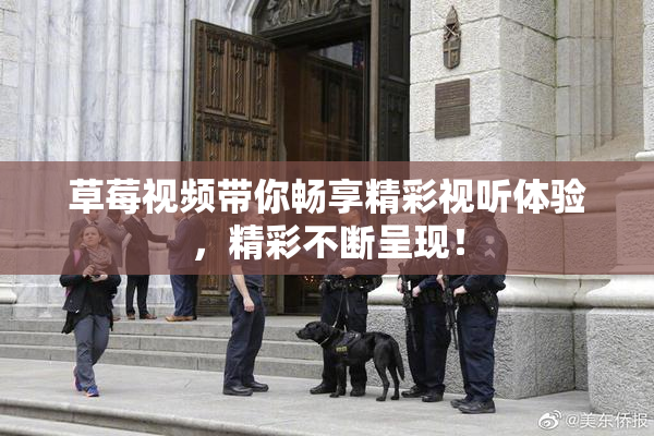草莓视频带你畅享精彩视听体验，精彩不断呈现！