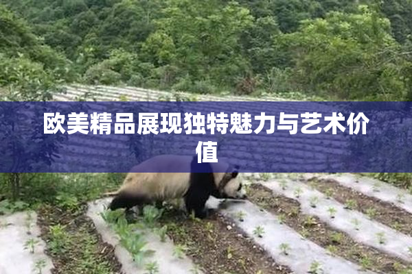 欧美精品展现独特魅力与艺术价值