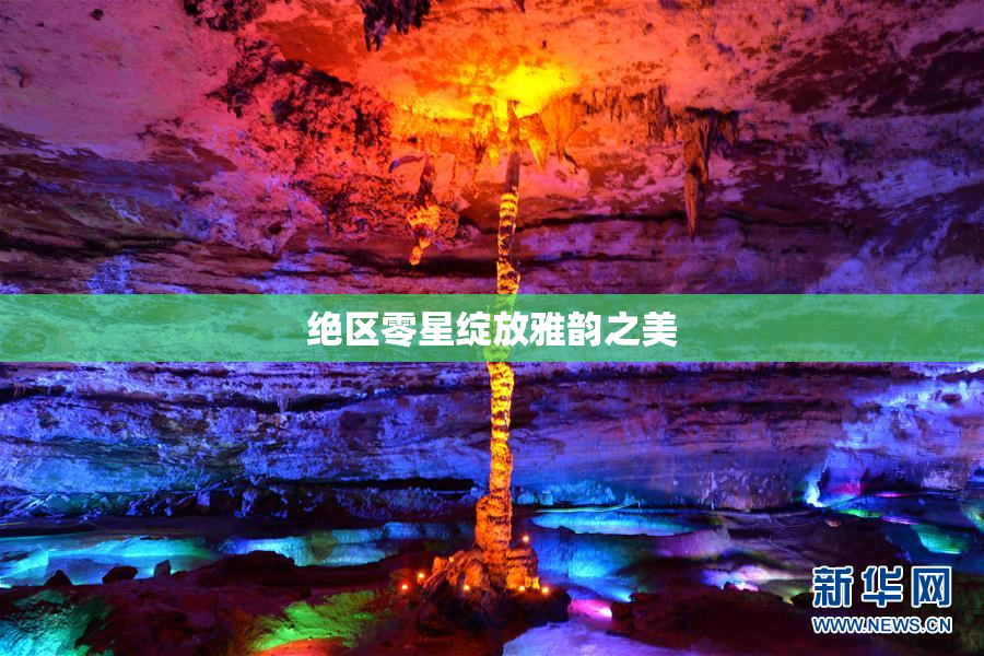 绝区零星绽放雅韵之美