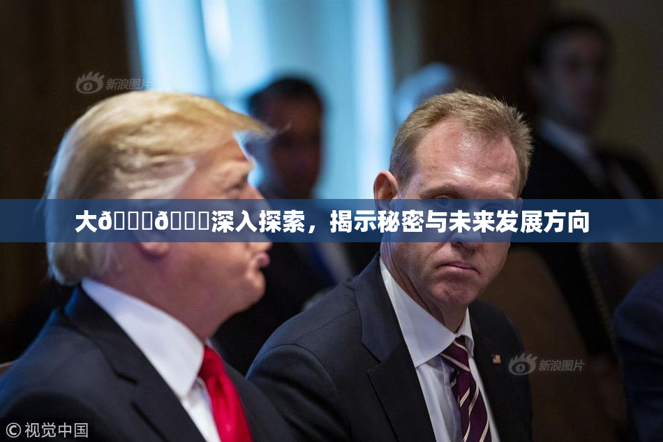 大🐔🐔深入探索，揭示秘密与未来发展方向