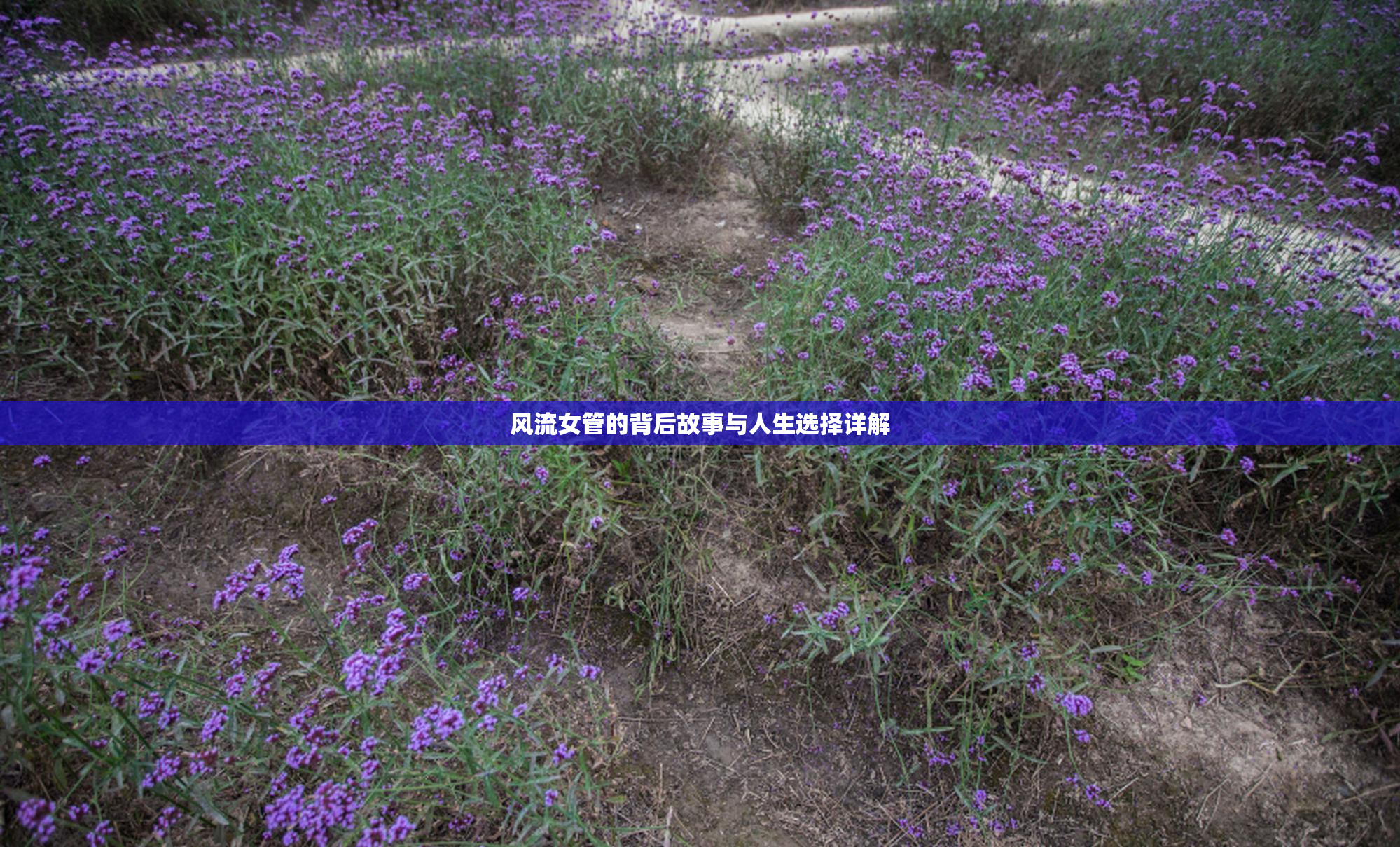 风流女管的背后故事与人生选择详解