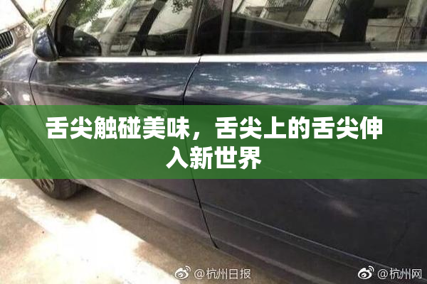 舌尖触碰美味，舌尖上的舌尖伸入新世界