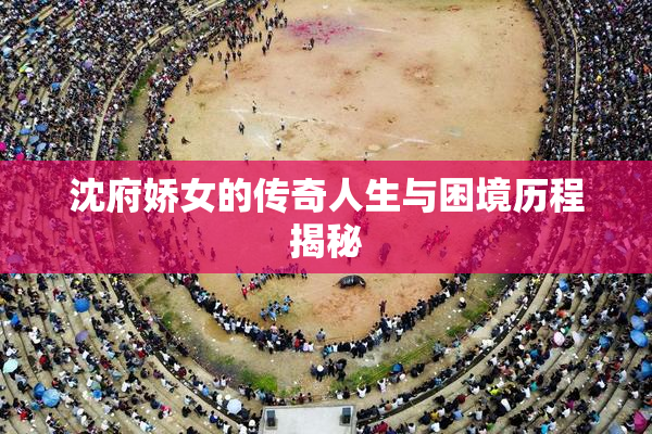 沈府娇女的传奇人生与困境历程揭秘