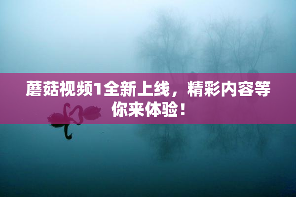 蘑菇视频1全新上线，精彩内容等你来体验！