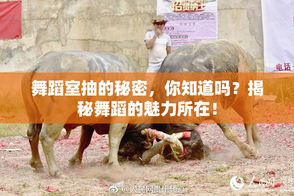 舞蹈室抽的秘密，你知道吗？揭秘舞蹈的魅力所在！