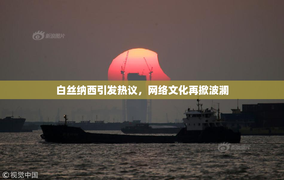 白丝纳西引发热议，网络文化再掀波澜