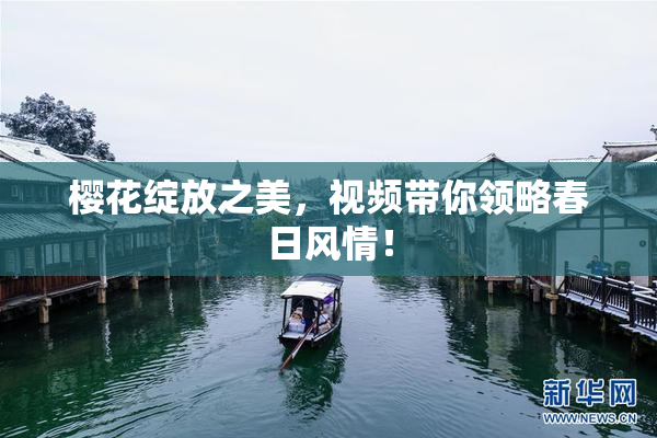樱花绽放之美，视频带你领略春日风情！