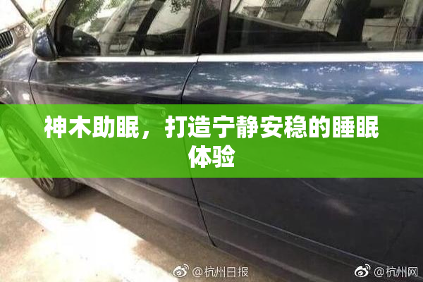 神木助眠，打造宁静安稳的睡眠体验