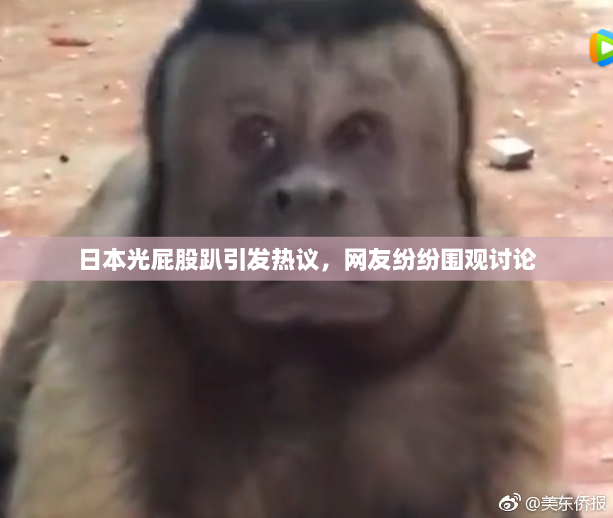 日本光屁股趴引发热议，网友纷纷围观讨论