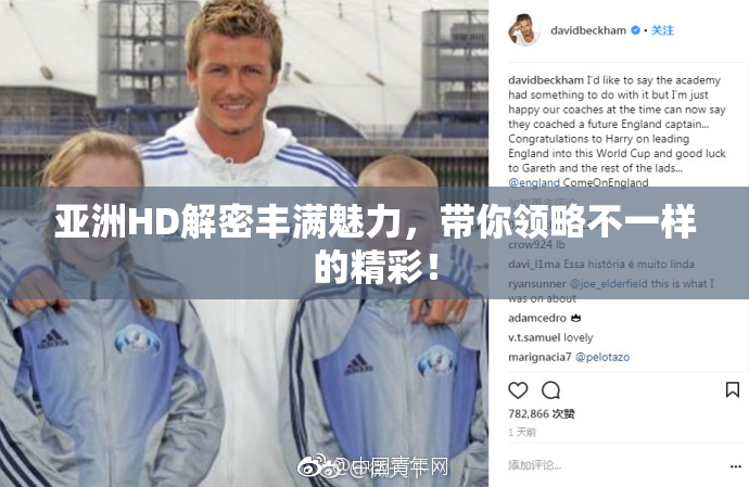 亚洲HD解密丰满魅力，带你领略不一样的精彩！