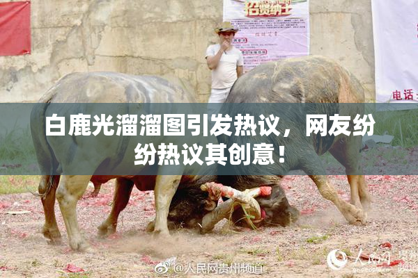 白鹿光溜溜图引发热议，网友纷纷热议其创意！
