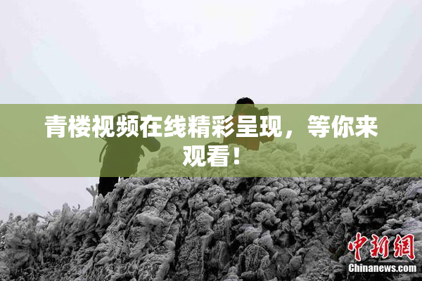 青楼视频在线精彩呈现，等你来观看！