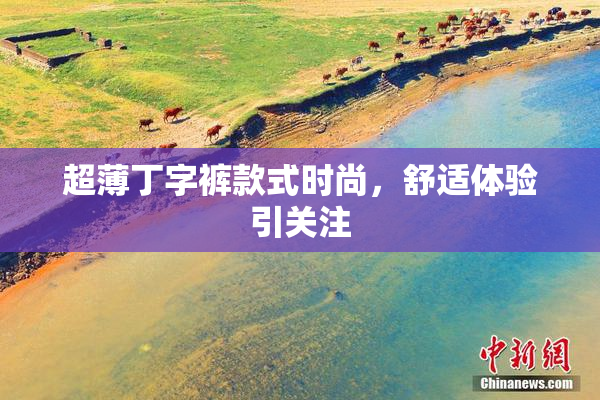 超薄丁字裤款式时尚，舒适体验引关注
